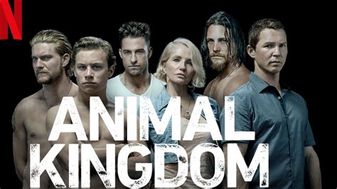 Regardez Animal Kingdom: toutes les 4 saisons sur NetFlix de n'importe ...