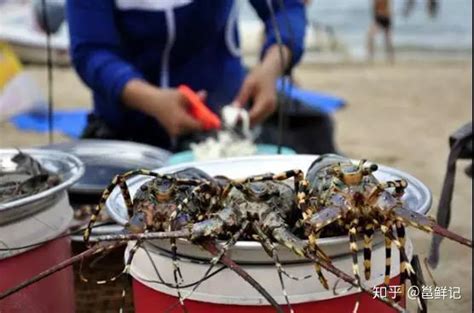 越南美食消费不高，海鲜又便宜的城市，海鲜好吃到哭 知乎