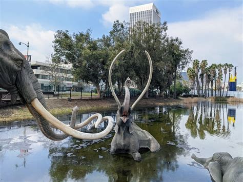 La Brea Tar Pits And Museum Los Angeles Guida Alla Visita