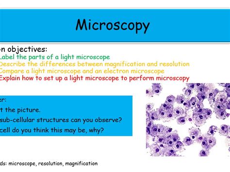 Aqa Cell Biology Microscopy Full Lesson Teaching Resources