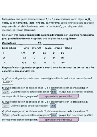 Ejercicio Voluntario Pdf