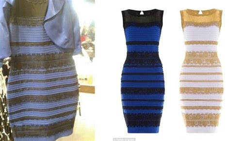 The Science Of Why No One Agrees On The Color Of This Dress Artofit