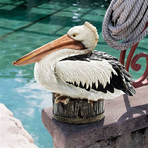 Pelican Statue The Garden And Patio Home Guide