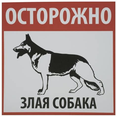 Купить Табличка DUCKANDDOG Осторожно! Злая собака 20x20 см в Алматы ...