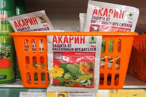 Акарин: инструкция по применению, отзывы, когда обрабатывать ...