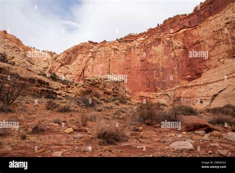 The Trail To Cassidy Arch In Capitol Reef National Park In Utah Is Three Miles Round Trip Stock