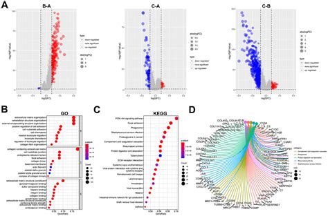 Integrating Single Cell RNA Seq To Identify Fibroblast Based Molecular