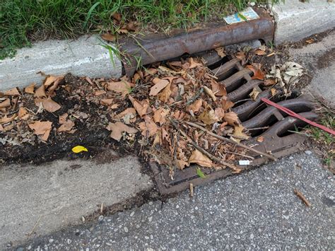 Clogged Storm Drain