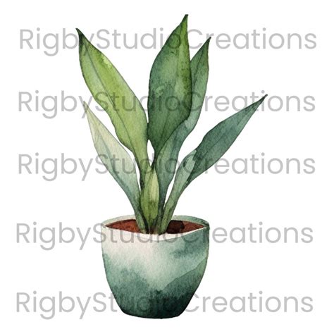 Watercolor House Plants Clip Art Digital Download High Quality Etsy