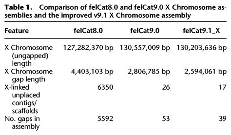 Genomic Architecture Constrained Placental Mammal X Chromosome Evolution