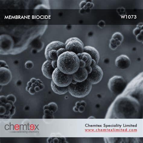 Ro Membrane Biocide Or Disinfectant Manufacturer Supplier Exporter