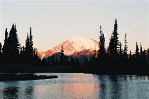 Kodak Gold 200 Review A Trip To Mount Rainier National Park