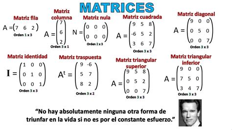 Definici N Componentes Y Clases De Matrices