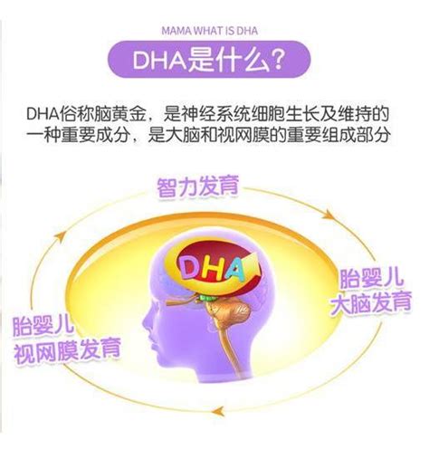 Dha是什么时候吃？什么样的好？服用dha的黄金时间段？ 每日头条