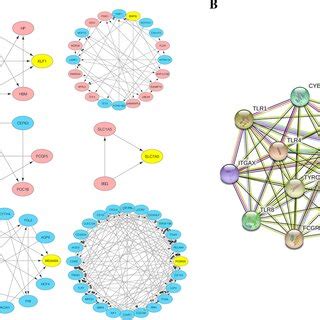 A There Were Important Network Modules Down Regulated Genes Were