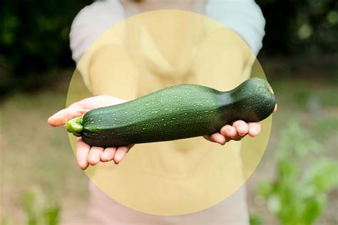 How To Store Zucchini