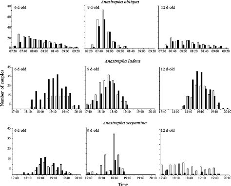 Figure 1 From The Effect Of Ginger Oil On The Sexual Performance Of Anastrepha Males Diptera