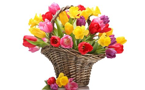 Цветы на 8 марта