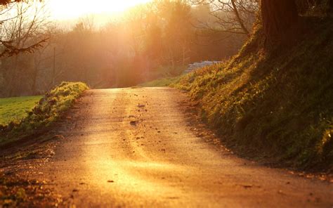 Fondos De Pantalla Luz De Sol Paisaje Bosque Colina Naturaleza Césped La Carretera