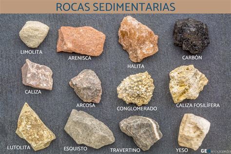 Rocas Sedimentarias Qu Son Caracter Sticas Formaci N Tipos Y