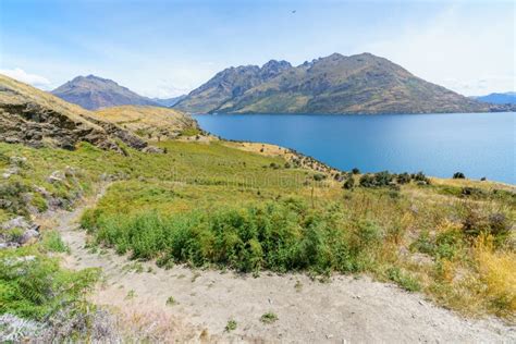 Caminar La Pista Del Punto De Enchufes Con La Vista Del Wakatipu Del