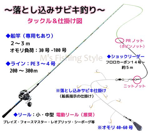 【動画あり】落とし込みサビキ釣りの仕掛け～竿・リール・喰わせサビキ仕掛け・オモリ・釣り方のご紹介～｜【動画あり】落とし込みサビキ釣りの仕掛け