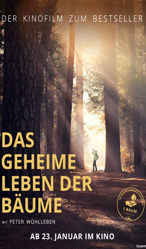 Das Geheime Leben Der B Ume Bambi Filmkunstkino G Tersloh