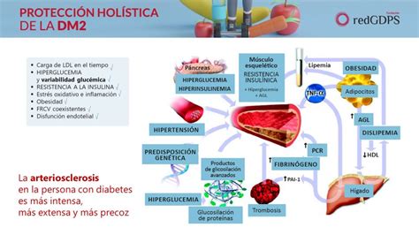 Redgdps Diabetes On Twitter C Mo Podemos Realizar La Protecci N Del