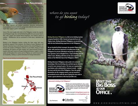 Download Our Birding Brochure Birding Adventure Philippines