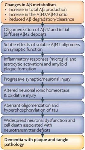 CNS Disorders Flashcards Quizlet