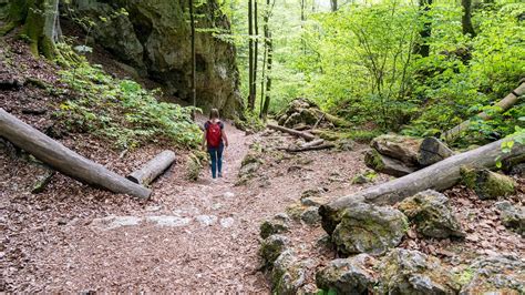 Ojcowski Park Narodowy szlaki mapa i atrakcje Hasające Zające