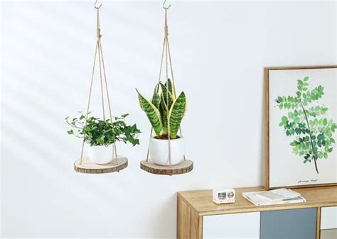 Set Van Boomstam Rond Wandrek Plantenhangers Boho Jute Houten