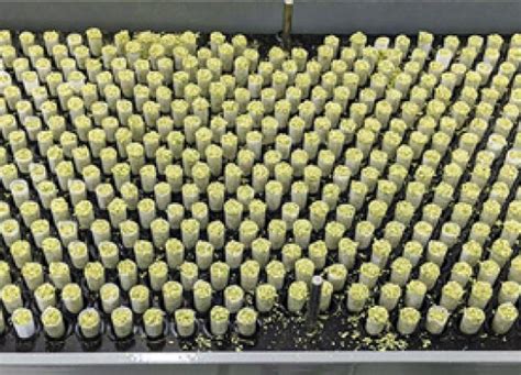 cannabis packaging technical packaging systems