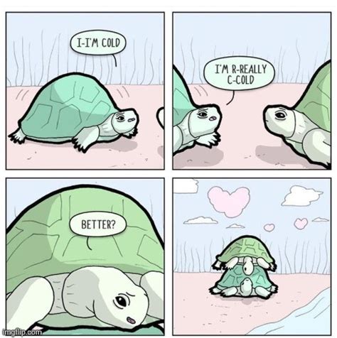 Wholesome Turtle Imgflip