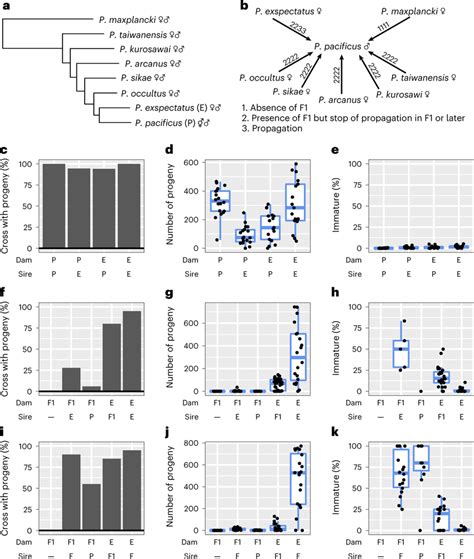 Reproductive Isolation Between P Pacificus And P Exspectatus A