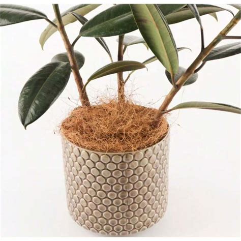 Capa Para Vaso De Decora O Floral De Fibra De Coco Natural Forro De