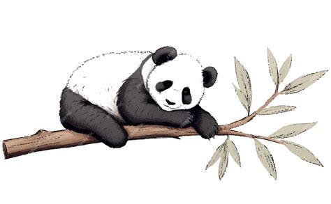 Premium Vector | A drawing of a panda laying on a branch with a tree branch