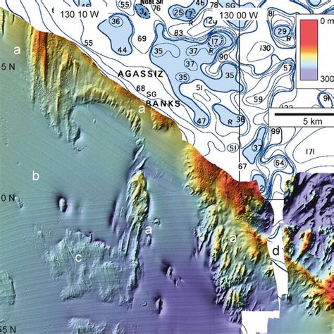 Crag‐and‐tail landforms (a) off Agassiz Banks. Smooth sea floor (b) is ...