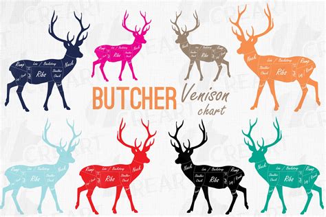 Venison Meat Cut Diagram Scheme Blackboard Stock Vector Colourbox