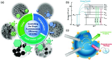 A Controlling Of The Shape And Luminescence Efficiency Of Ucns B