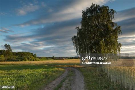 Dreamstime Photos And Premium High Res Pictures Getty Images