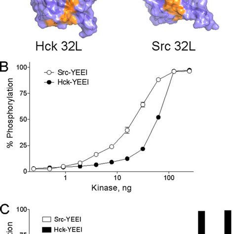 Sh2 Kinase Linker Interacts With The Sh3 And Kinase Domains In Near