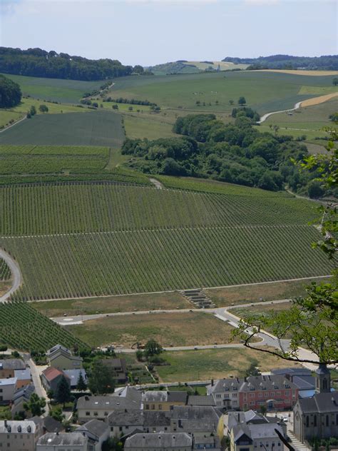Visit Nittel: 2024 Travel Guide for Nittel, Rhineland-Palatinate | Expedia