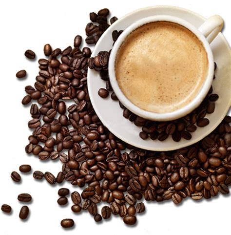 Coffee Beans Fresh Organic Ground Flavor Png