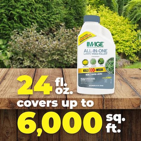 IMAGE All In One 24 Oz Concentrated Lawn Weed Killer