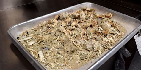 How Does Cremation Work | What is Cremation 