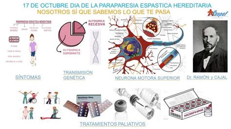 Declarar el 17 de octubre Día Mundial de la Paraparesia Espástica