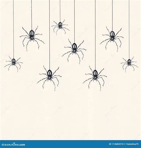 Spiders A Sketch By Hand Pencil Drawing Cartoon Vector