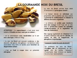 La Noix Du Br Sil Un Superaliment