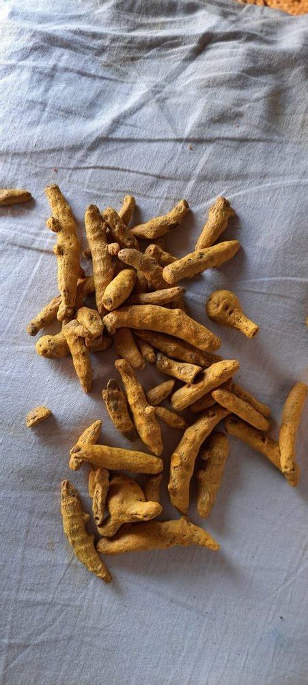 Salem Turmeric Finger For Ayurvedic Medicine Packaging Size 50kgs